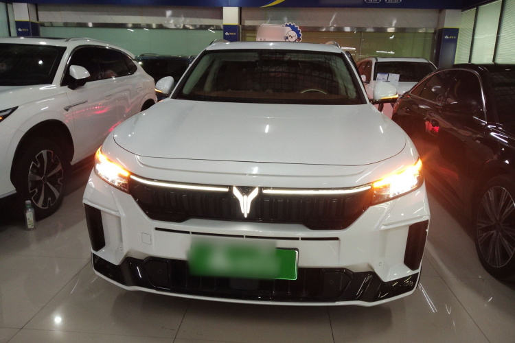 岚图汽车 岚图FREE 2024款 超长续航智驾版车身外观6001