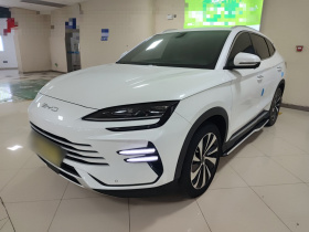 比亚迪 宋PLUS新能源 2023款 冠军版 DM-i 110KM 旗舰型