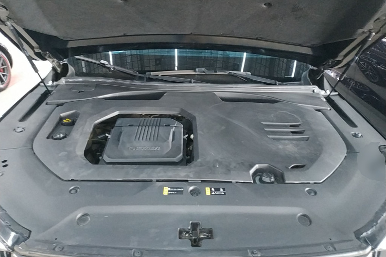 广汽传祺 传祺GS8 2022款 双擎系列 2.0TM 两驱尊贵版 （六座）局部细节24