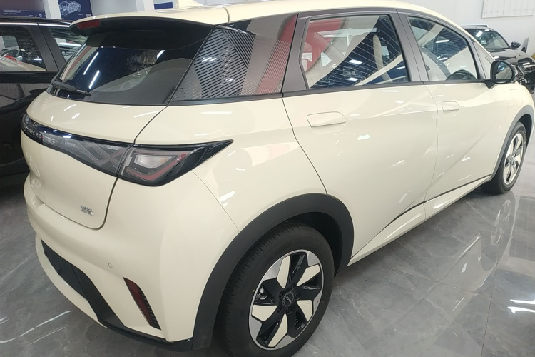 比亚迪 海豚 2025款 420km 自由版车身外观6005