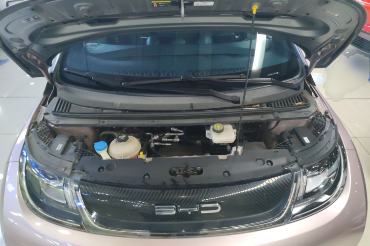 比亚迪 海豚 2021款 401km 骑士版局部细节24