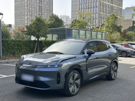 领克08 EM-P 2025款 220km 四驱性能Halo