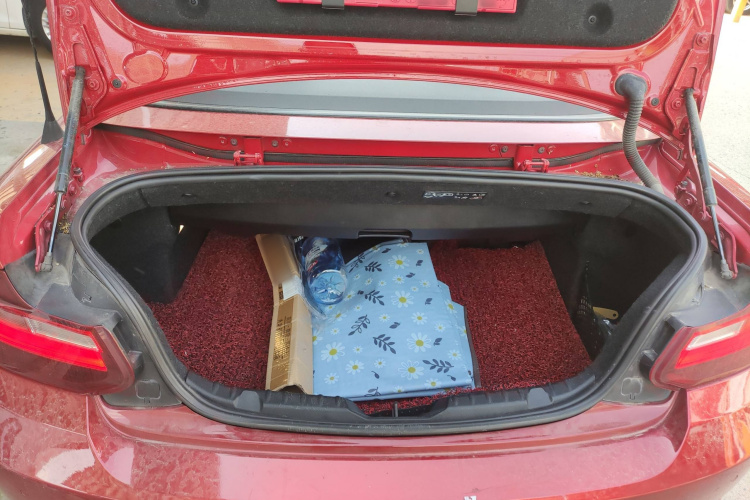 宝马2系(进口) 2015款 218i 敞篷轿跑车局部细节23