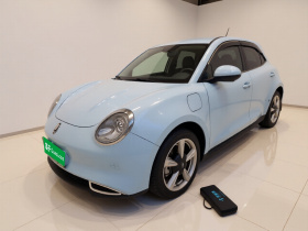 欧拉好猫 2022款 400km标准续航 豪华型 磷酸铁锂