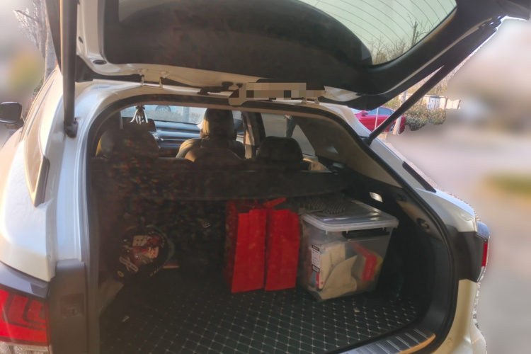 雷克萨斯RX 2020款 300 两驱精英版 国VI中控内饰23