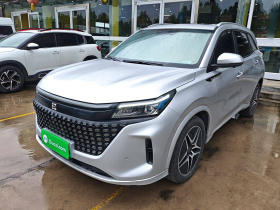 蓝电E5 2024款 荣耀版 100KM尊享型 5座