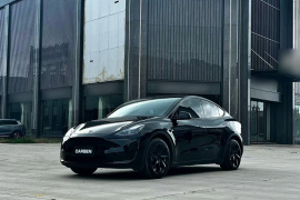 特斯拉 Model Y 2022款 后轮驱动版