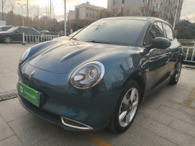 欧拉好猫 2021款 400km标准续航 维纳斯版 三元锂