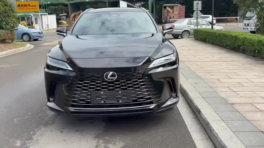 雷克萨斯RX 2023款 350h 四驱醇享版实拍1