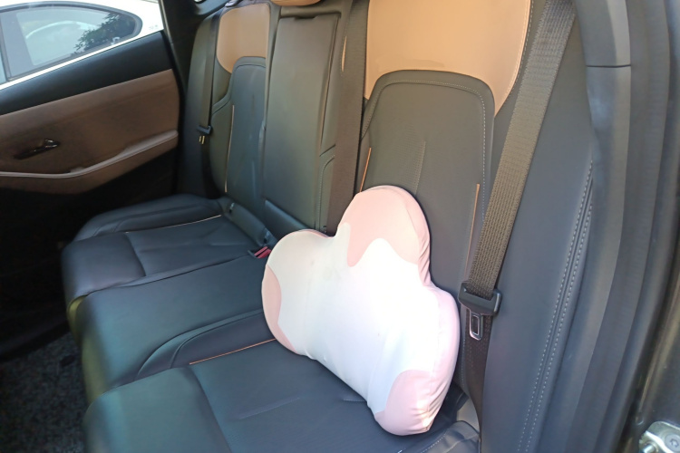 深蓝汽车 深蓝SL03 2022款 1.5L 1200增程版中控内饰21