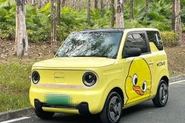 吉利汽车 2023款 熊猫mini 200km 灵动熊