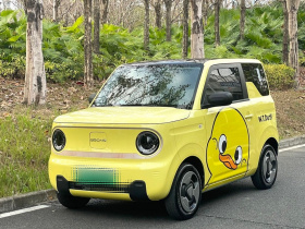 吉利汽车 2023款 熊猫mini 200km 灵动熊