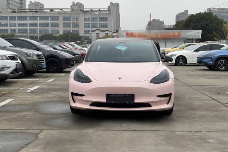 特斯拉 Model 3 2020款 标准续航后驱升级版车身外观6002