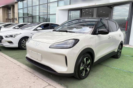 五菱汽车 五菱缤果PLUS 2024款 510km 五座版