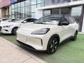 五菱汽车 五菱缤果PLUS 2024款 510km 五座版