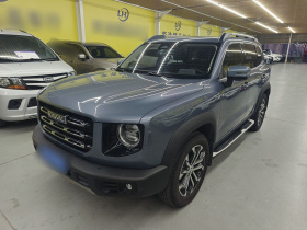 哈弗大狗 2022款 1.5T DCT两驱边牧版