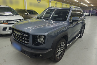 哈弗大狗 2022款 1.5T DCT两驱边牧版