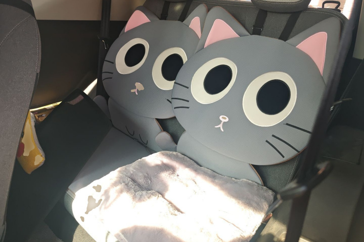 奇瑞 小蚂蚁 2021款 20万蚁粉款 朝气版 磷酸铁锂 301km中控内饰21