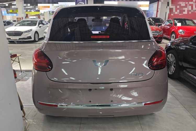 五菱汽车 五菱缤果 2023款 333km 灵犀互联款车身外观6004