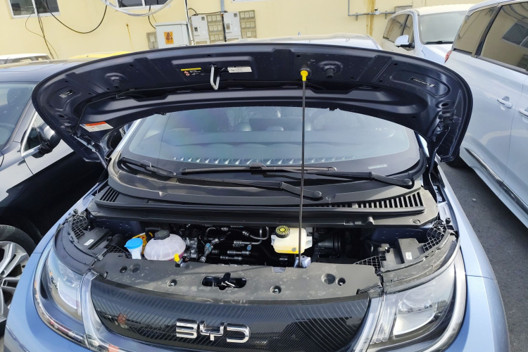 比亚迪 海豚 2025款 420km 自由版机舱底盘24