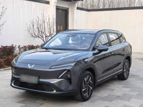 五菱汽车 五菱星光S 2024款 130km 旗舰型