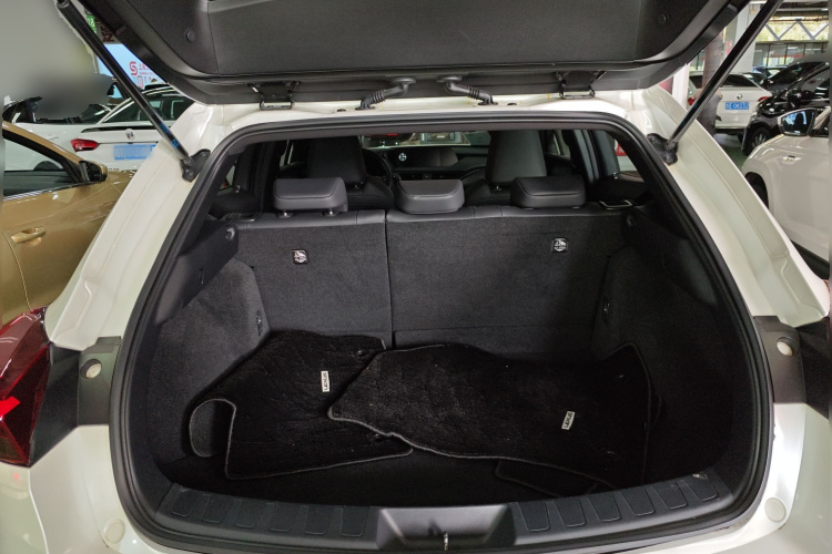 雷克萨斯UX新能源 2020款 300e 纯·悦版局部细节23