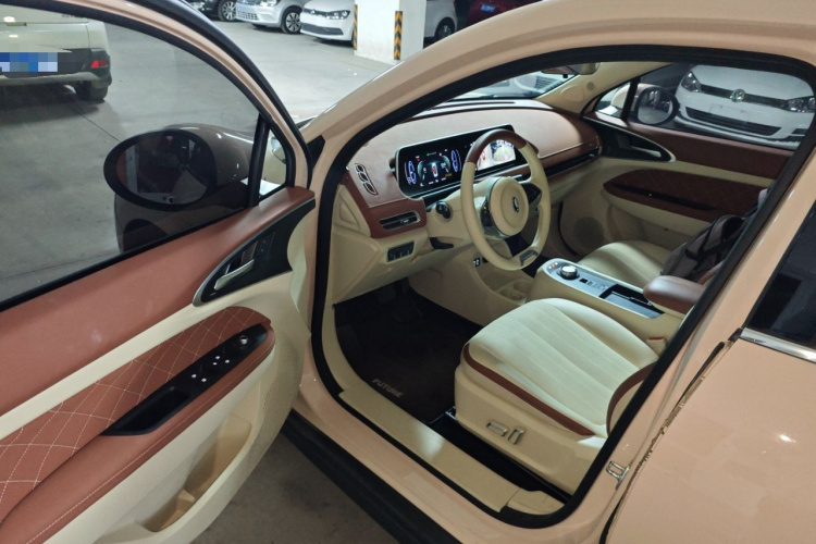 欧拉好猫 2022款 莫兰迪版 400km标准续航 尊贵型 三元锂中控内饰7003