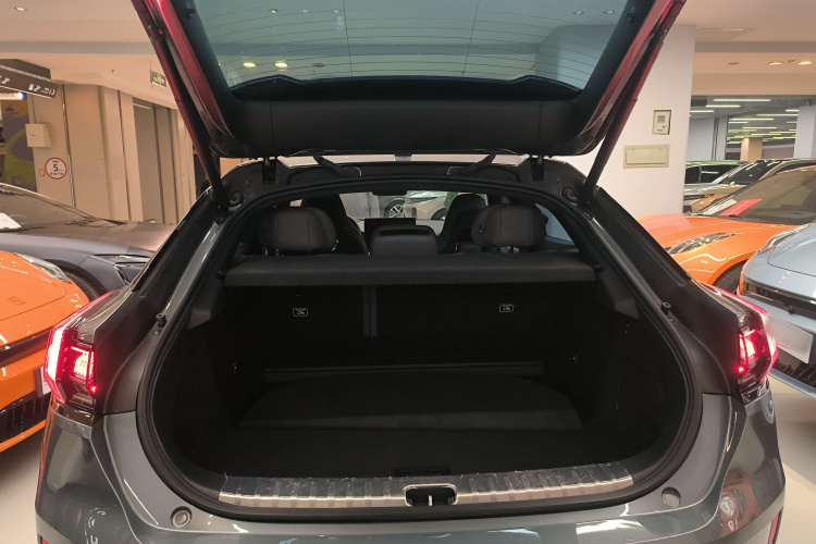 极氪001 2023款 WE版 100kWh局部细节23