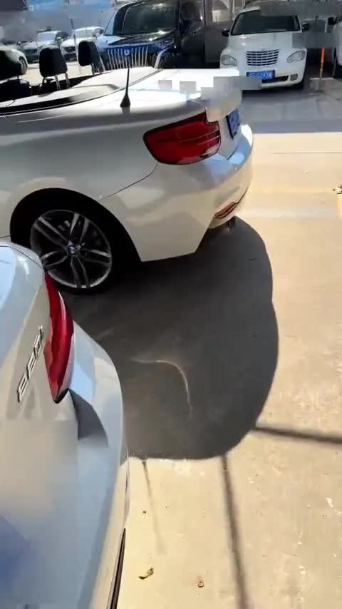 宝马2系(进口) 2018款 225i 敞篷轿跑车 M运动型讲解2