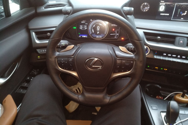 雷克萨斯UX新能源 2020款 300e 纯·悦版局部细节13