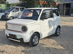 吉利银河 2024款 熊猫mini 200km 耐力熊