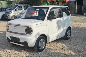 吉利银河 2024款 熊猫mini 200km 耐力熊
