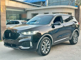 魏牌 VV6 2018款 2.0T 两驱超豪型 国V