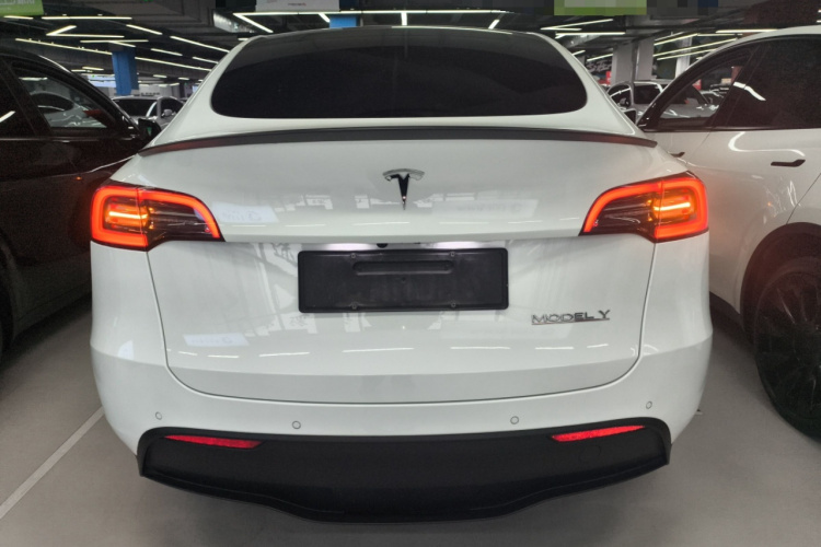 特斯拉 Model Y 2021款 Performance高性能全轮驱动版车身外观6