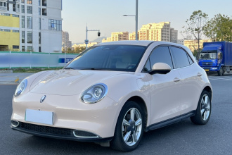 欧拉好猫 2023款 401km标准续航 豪华型 磷酸铁锂