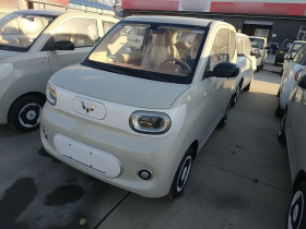 五菱汽车 宏光MINIEV 2024款 第三代 215km 青春版