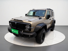 坦克300 2021款 2.0T 风林铁骑