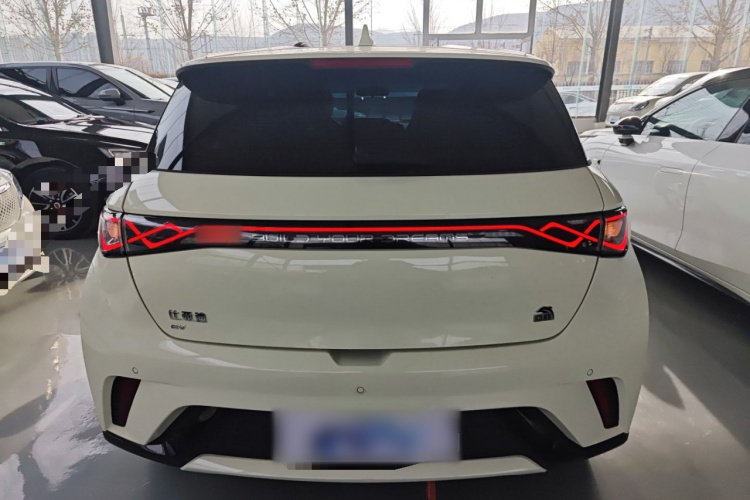 比亚迪 海豚 2023款 420km 自由版车身外观6004