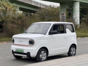 吉利银河 2024款 熊猫mini 200km 耐力熊