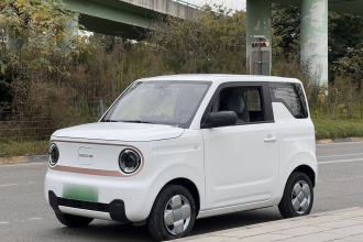 吉利银河 2024款 熊猫mini 200km 耐力熊