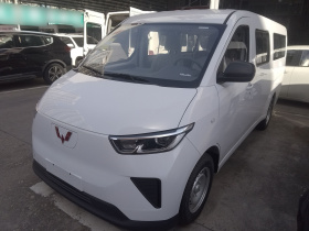 五菱汽车 五菱扬光 2024款 300KM 舒适型客车版 75kW