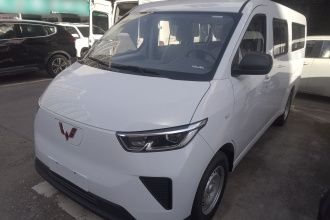 五菱汽车 五菱扬光 2024款 300KM 舒适型客车版 75kW