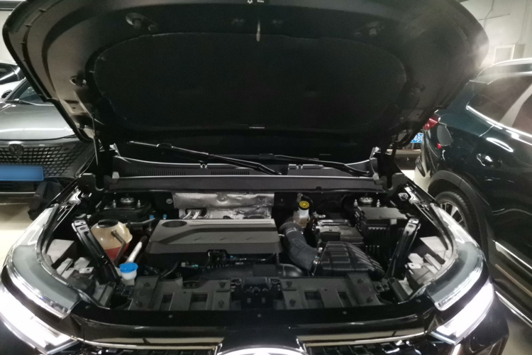 奇瑞 瑞虎8 PRO 2024款 冠军版 390T 两驱傲视版 5座局部细节24