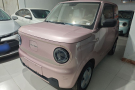 吉利银河 2023款 熊猫mini 200km 耐力熊