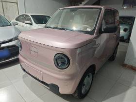 吉利银河 2023款 熊猫mini 200km 耐力熊