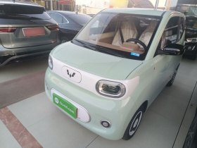 五菱汽车 宏光MINIEV 2024款 第三代 215km 青春版