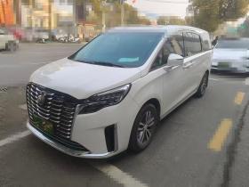 别克GL8 2022款 ES陆尊 653T 舒适型