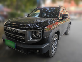 哈弗大狗 2024款 1.5T DCT边牧版