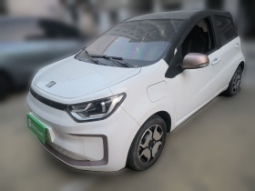 思皓 花仙子 2021款 302km 豪华型 31.4kWh