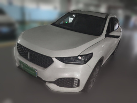 魏牌 VV6 2020款 2.0T 两驱智享+